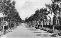 Sanatorio de Sant Boi