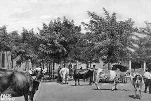 Postal de Sant Boi de Llobregat