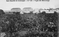 Sanatorio de Sant Boi