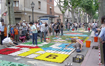 Capvuitada Catifes de flors