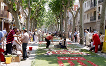 Capvuitada Catifes de flors