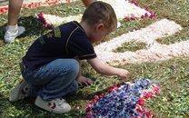 Capvuitada Catifes de flors