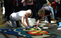 Capvuitada Catifes de flors