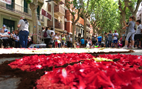 Capvuitada Catifes de flors