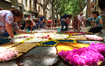 Capvuitada Catifes de flors