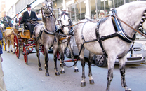 Tres tombs a Sant Boi