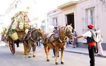 Tres tombs a Sant Boi