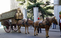 Tres tombs a Sant Boi