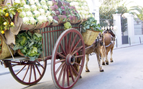 Tres tombs a Sant Boi