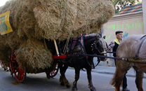 Tres tombs a Sant Boi