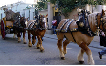 Tres tombs a Sant Boi