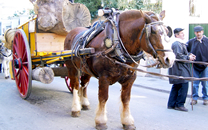 Tres tombs a Sant Boi