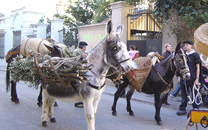 Tres tombs a Sant Boi