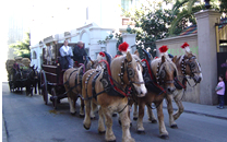 Tres tombs a Sant Boi