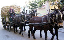 Tres tombs a Sant Boi