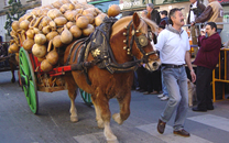 Tres tombs a Sant Boi