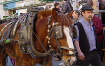 Tres tombs a Sant Boi