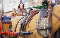 Tres tombs a Sant Boi