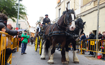 Tres tombs a Sant Boi