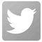 Twitter Plataforma Sant Boi