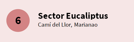 Sector Eucaliptus